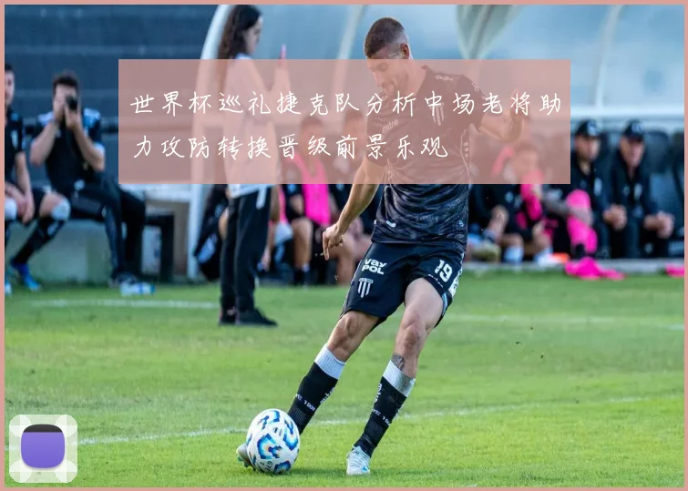 世界杯巡礼捷克队分析中场老将助力攻防转换晋级前景乐观